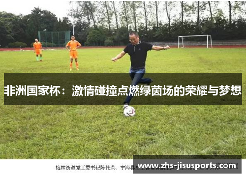 非洲国家杯：激情碰撞点燃绿茵场的荣耀与梦想